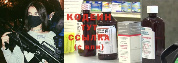 хмурый Аркадак