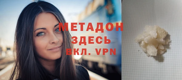 хмурый Аркадак