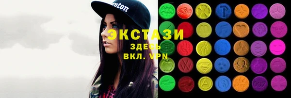 хмурый Аркадак