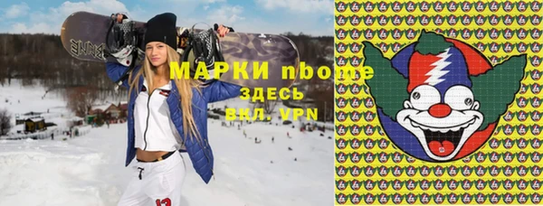 хмурый Аркадак