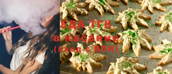 хмурый Аркадак