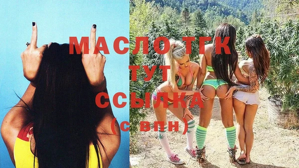 хмурый Аркадак