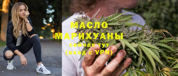 хмурый Аркадак