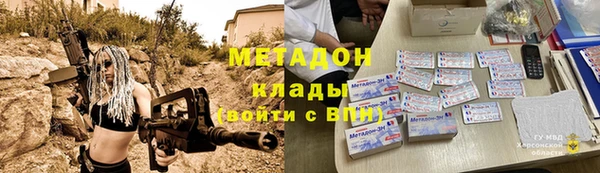 хмурый Аркадак