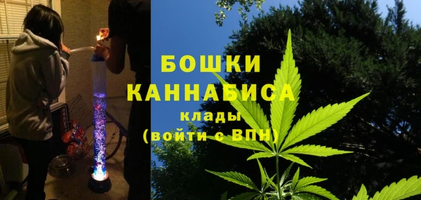 хмурый Аркадак