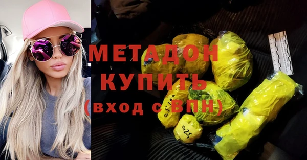 хмурый Аркадак