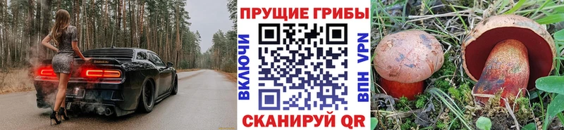 Псилоцибиновые грибы прущие грибы  blacksprut как войти  Лесной 